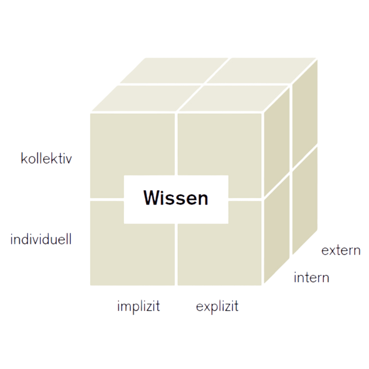 Wissenswürfel1